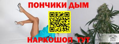 spice Гатчина