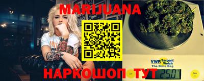 spice Гатчина