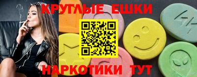 spice Гатчина