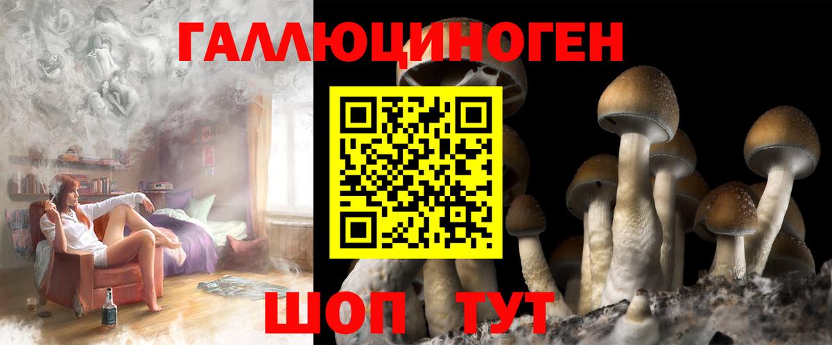 Галлюциногенные грибы прущие грибы Нижнекамск