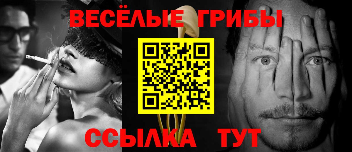 Нижнекамск  Псилоцибиновые грибы MAGIC MUSHROOMS  Вход с VPN 
